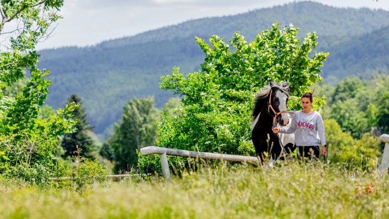 Pferdewelt Reichenau, © Wiener Alpen / Christian Kremsl Eine Frau führt ein schwarz-weißes Pferd auf einer Wiese vor einer bewaldeten Berglandschaft.