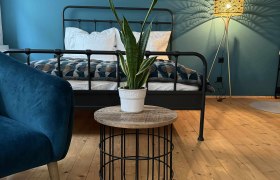 Zimmeransicht Dottore Casa, © Michael Liska Schlafzimmer mit blauem Sessel, Metallbett, Pflanze auf Tisch und Stehlampe.