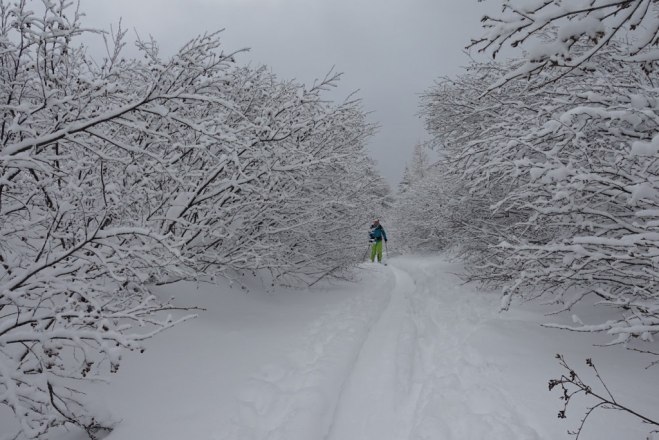 Wolfgang Menzel, © teamwandern.at Wolfgang Menzel, © teamwandern.at
