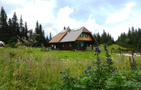 Hütte1, © Richard Waidhofer Eine Holzhütte in einer grünen Wiese mit Blumen und Bäumen im Hintergrund.