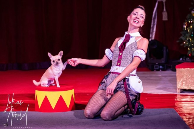 Payerbacher Weihnachtszauber Zirkus, © ©CDG Payerbacher Weihnachtszauber Zirkus, © ©CDG