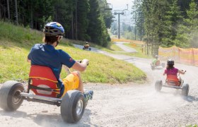 Mountaincart-Spaß in Mönichkirchen, © Erlebnisalm Mönichkirchen/Fotograf und Fee Personen fahren mit Mountaincarts einen Schotterweg hinunter, umgeben von Bäumen und einem Skilift.