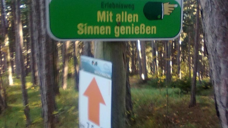 Bewegen, entspannen, fitter werden, © Reep Ein Schild im Wald mit der Aufschrift 'Mit allen Sinnen genießen'.