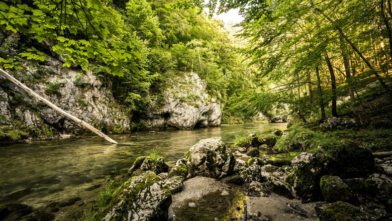 Am Fuße von Rax und Schneeberg entspringt quellfrisches Trinkwasser, das auch die Wiener Hochquellwasser, © Robert Herbst Am Fuße von Rax und Schneeberg entspringt quellfrisches Trinkwasser, das auch die Wiener Hochquellwasser, © Robert Herbst