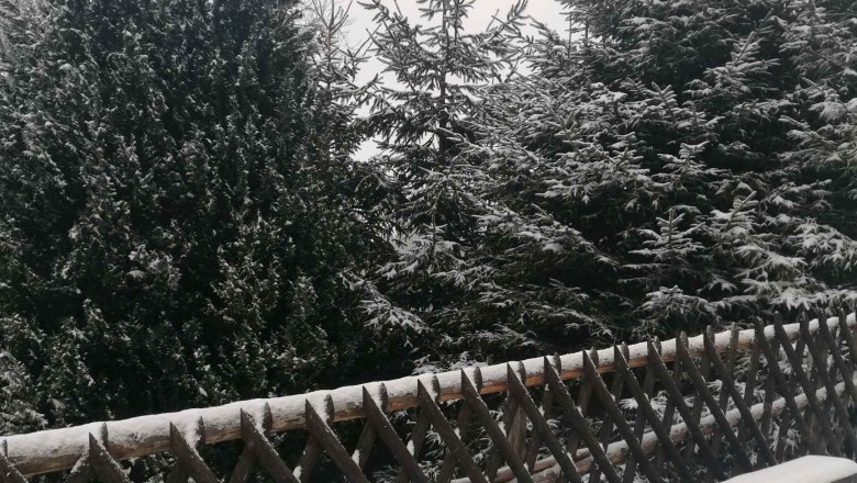 Winter bei Familie Weibels, © Familie Weibels Verschneite Bank und Bäume im Winter.