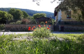 Ferienwohnung Grauszer, © dmgrauszer Ein gelbes Haus mit Garten und Mohnblumen im Vordergrund, umgeben von Bäumen und Hügeln.