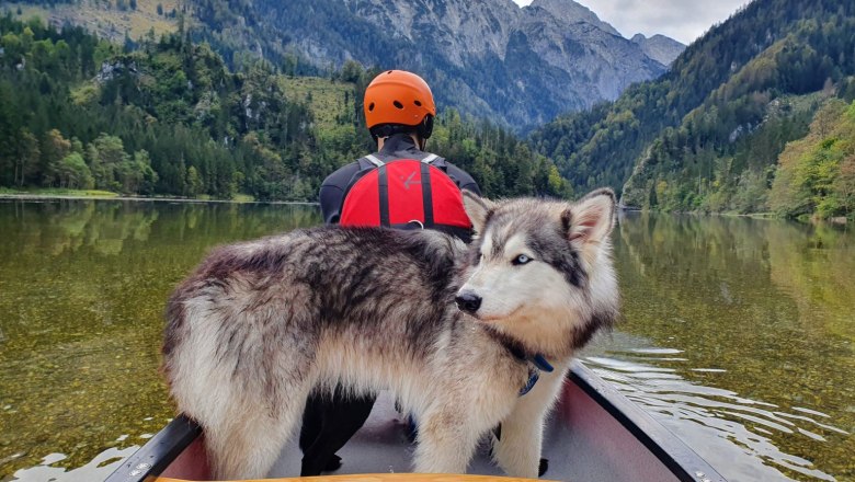 Kanu Kayak Wildnis Zentrum Nasswald, © Georg Bergthaler Person mit Helm und Hund in einem Kanu auf einem ruhigen See, umgeben von Bergen und Wald.