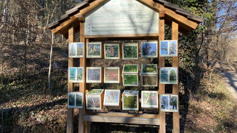 Waldlehrpfad, © Wiener Alpen Ein hölzernes Schild im Wald zeigt ein Baum-Memory-Spiel mit Bildern von Rinde, Blättern, Blüten und Früchten verschiedener Bäume.
