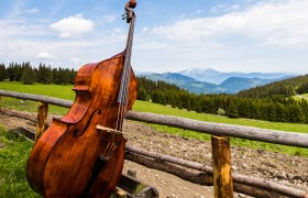 Wanderveranstaltungen, © Wiener Alpen, Michael Reidinger Wanderveranstaltungen, © Wiener Alpen, Michael Reidinger