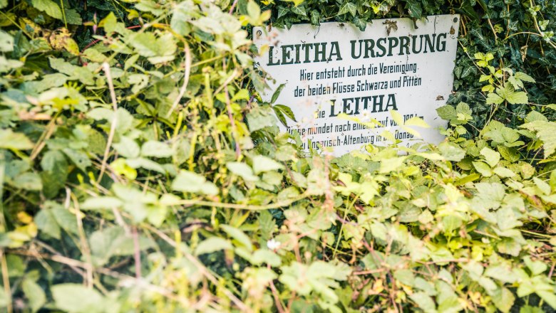 Leitha origin in Lanzenkirchen, © Wiener Alpen, Martin Fülöp A sign with the inscription 'Leitha Ursprung' is overgrown with dense greenery.