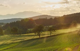Blick in die Bucklige Welt, © ©Niederösterreich-Werbung, Foto: Michael Liebert Blick in die Bucklige Welt, © ©Niederösterreich-Werbung, Foto: Michael Liebert