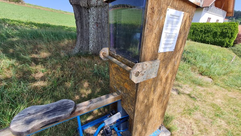 wetterlehrpfadhollenthonccorneliaschuh-16_web, © Wiener Alpen, Schuh wetterlehrpfadhollenthonccorneliaschuh-16_web, © Wiener Alpen, Schuh