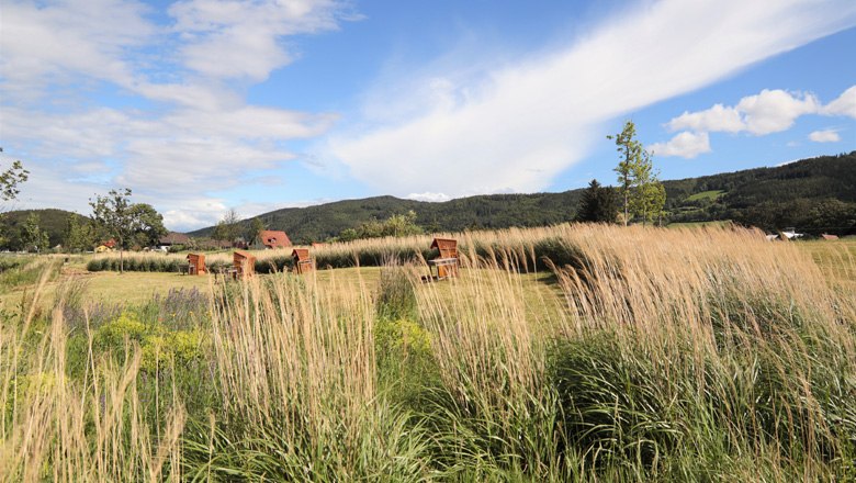 Picnic area, © Schloss Wartholz - Nusterer Green meadow with picnic tables and tall grasses, surrounded by hills and blue sky.