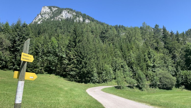 Naturpark Falkenstein, © Tourismusverband Semmering-Rax-Schneeberg Wanderweg im Naturpark Falkenstein mit Wegweiser und Berg im Hintergrund.