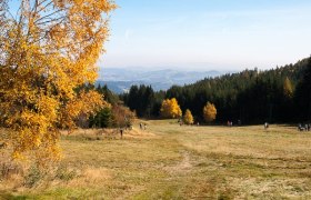 Blick von der Mönichkirchener Schwaig, © Walter Laschober Blick von der Mönichkirchener Schwaig, © Walter Laschober