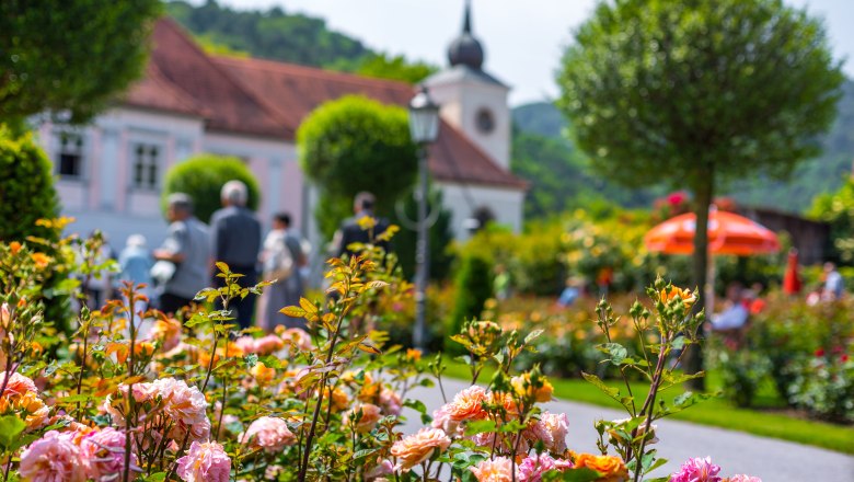 Rosengarten mit Pfarrhof Pitten, © Wiener Alpen, Christian Kremsl Rosengarten mit historischem Pfarrhof im Hintergrund