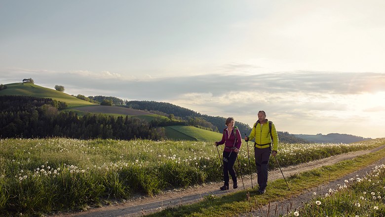 Entspannt über die Buckeln Wandern in Bad Schönau und Umgebung, © Wiener Alpen / Florian Lierzer Entspannt über die Buckeln Wandern in Bad Schönau und Umgebung, © Wiener Alpen / Florian Lierzer