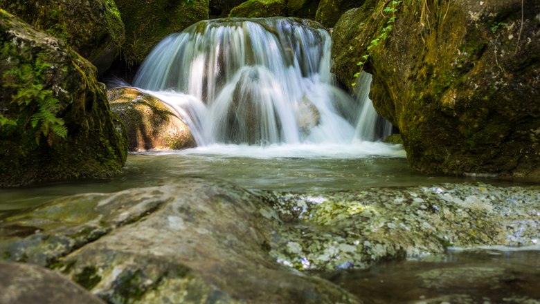 Myra Falls Muggendorf, © Wiener Alpen/Christian Kremsl A small waterfall flows over moss-covered rocks in a wooded area.