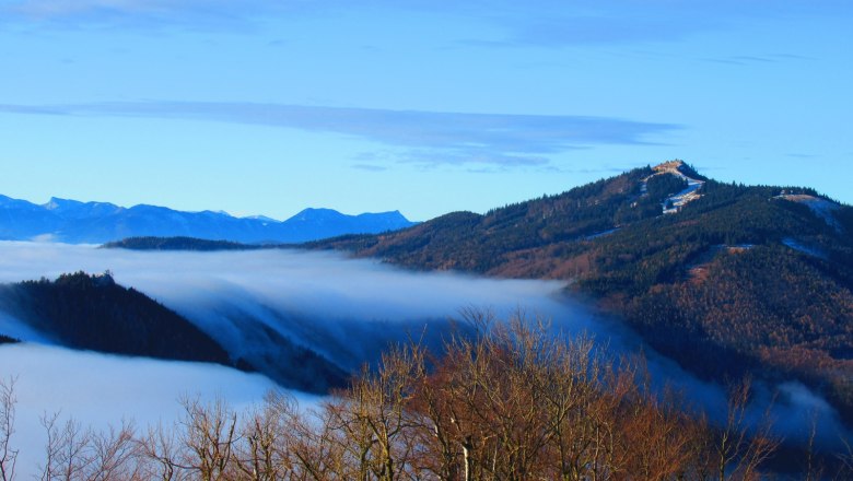 Aussicht von der Enzianhütte, © Stefanie Rysavi Blick von einem Berg auf nebelverhangene Täler und bewaldete Hügel.