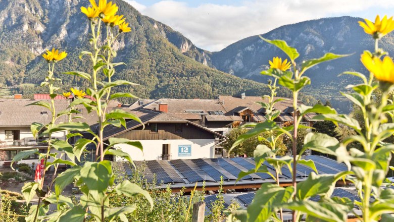Flackl´s Solaranlage, © Daniel Fischer Sonnenblumen vor Solaranlagen und Bergen im Hintergrund.