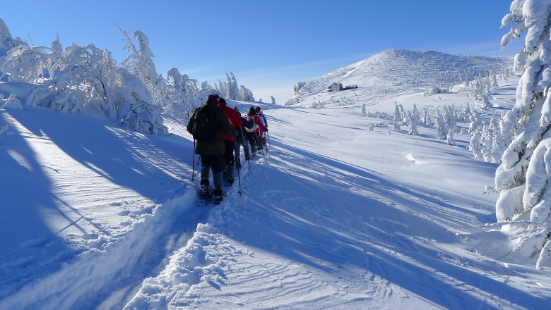 raxwien, © Wolfgang Menzel Gruppe von Schneeschuhwanderern auf verschneitem Bergpfad bei klarem Himmel.