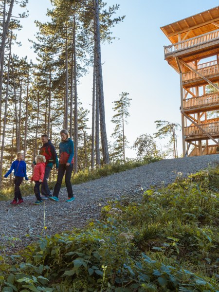 Spielerisch Wandern am Rosalia Rundwanderweg, © Wiener Alpen/Martin Fülöp & Christian Kremsl Spielerisch Wandern am Rosalia Rundwanderweg, © Wiener Alpen/Martin Fülöp & Christian Kremsl