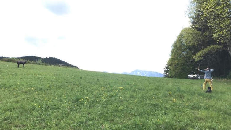 3D Bogenparcours, © Herwig Kerbl Person schießt mit einem Bogen auf ein Ziel auf einer Wiese.