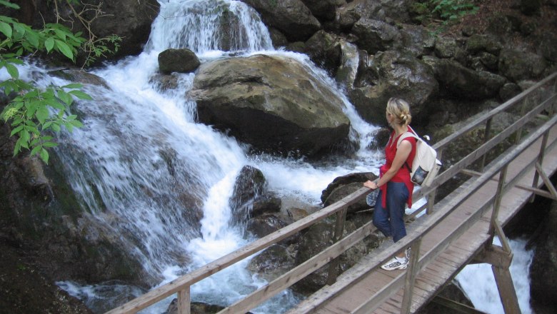 Myra Falls, © Roman Klementschitz, Wien Person on wooden bridge near waterfall in wooded surroundings.