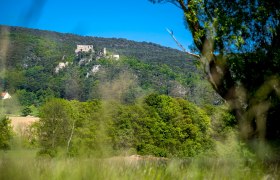 Die Burgruine Emmerberg zwischen Winzendorf und Muthmannsdorf, © Wiener Alpen/Kremsl Burgruine Emmerberg auf einem bewaldeten Hügel, umgeben von grünen Bäumen und blauem Himmel.