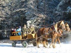 Kinderadvent Fahrt mit der Pferdekutsche, © Naturpark Hohe Wand Kinderadvent Fahrt mit der Pferdekutsche, © Naturpark Hohe Wand