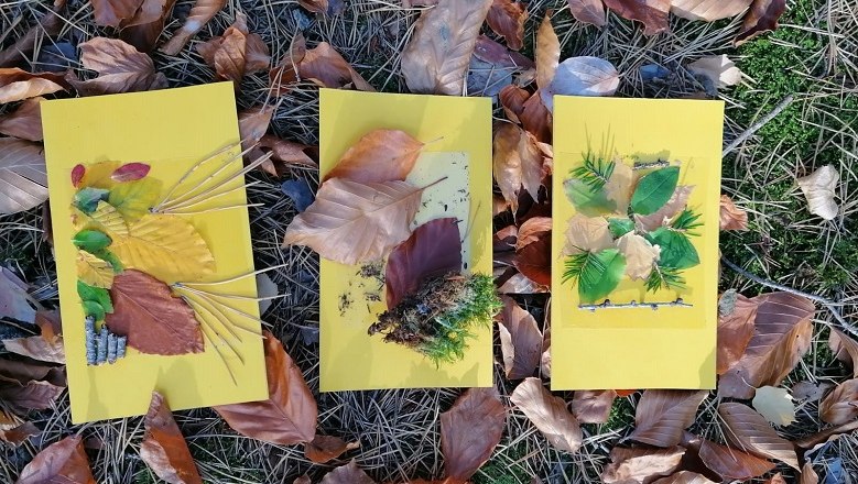 Experience the forest with fun and exciting exercises, © Verein Waldsport, Leopold Treitler Experience the forest with fun and exciting exercises, © Verein Waldsport, Leopold Treitler