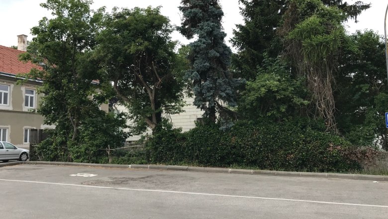 Camping pitch, © Birgit Rada-Tomasin Empty parking lot with trees and bushes in the background.