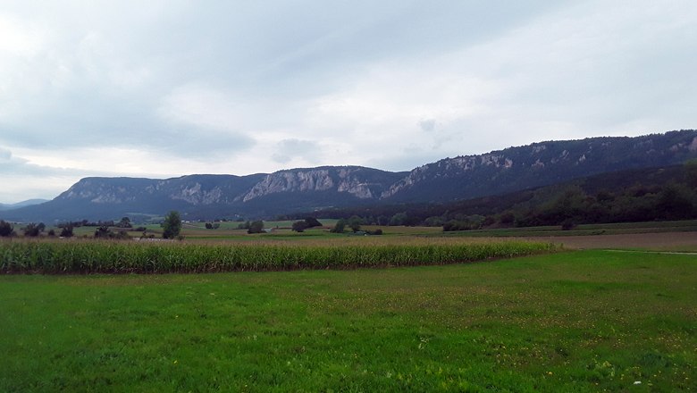 Blick auf die Hohe Wand bei Stollhof, © Lindinger Volker, ARDIG Landschaft mit grünen Feldern und der Hohen Wand im Hintergrund unter bewölktem Himmel.