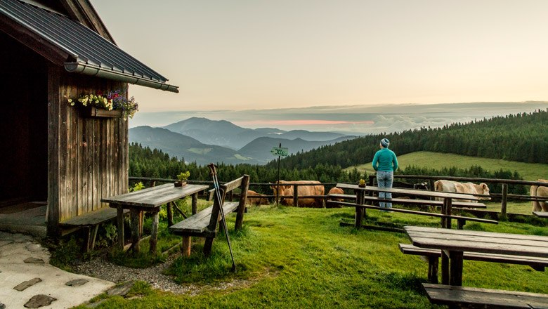 Enjoy the view from the Schwaig, © Niederösterreich-Werbung, Robert Herbst Person enjoys the view from an alpine pasture with a wooden hut, tables and benches, surrounded by mountains and forests.