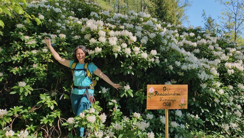 Alma Mahler hike, © Luxusgämsen A woman stands smiling in front of a large rhododendron bush with white flowers.