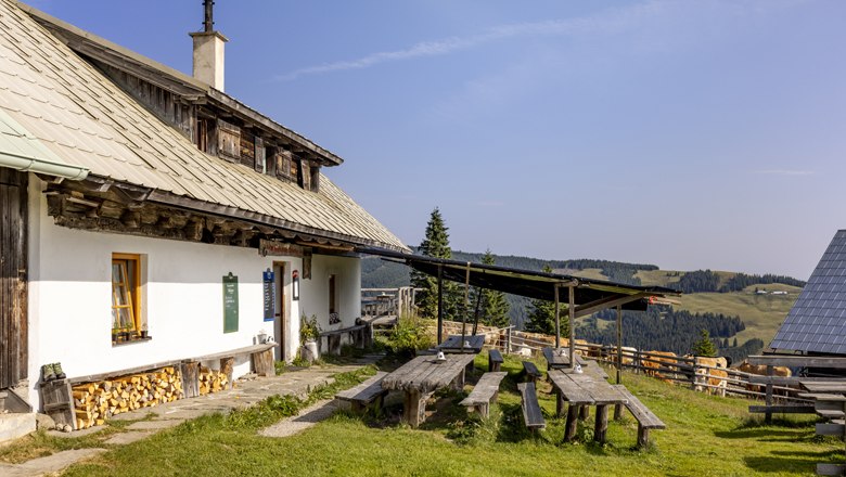 Marienseer Schwaig, © Wiener Alpen, Christian Kremsl Traditionelle Berghütte mit Holztischen und Bänken im Freien, umgeben von grünen Wiesen und bewaldeten Hügeln unter blauem Himmel.
