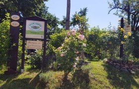 Willkommen im Schaugarten_c_Andrea Lechner, © Andrea Lechner Eingang zu einem Schaugarten mit Schildern und blühenden Rosen.