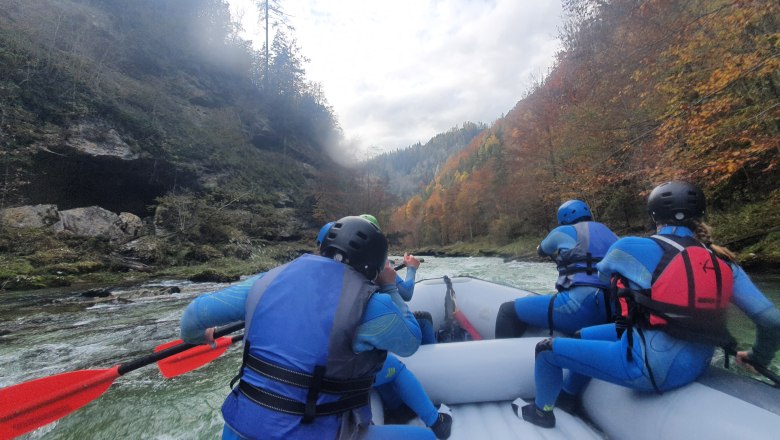 Rafting Wildnis Zentrum Nasswald, © Georg Bergthaler Gruppe beim Rafting auf einem Fluss, umgeben von herbstlichen Bäumen.