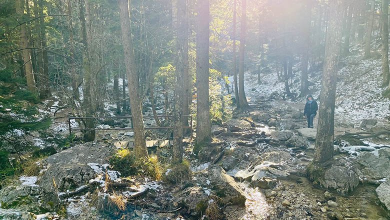 Sebastian waterfall, © Angelika Burger Forest landscape with sunlight and a hiker on a path.