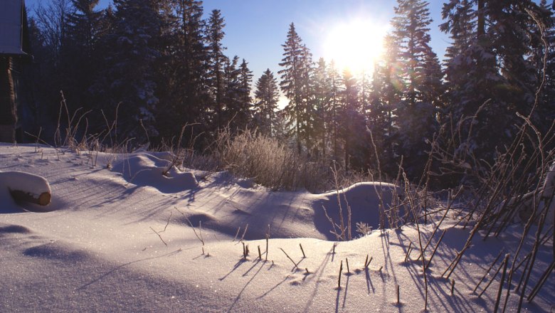 Sonnenaufgang - Herrgottschnitzerhütte, © Herrgottschnitzer-Franz-Kaupe-Haus, Mimm Verschneite Landschaft bei Sonnenaufgang mit Bäumen im Hintergrund.