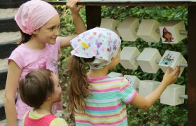 Märchenwald, © Tanja Schwartz Märchenwald, © Tanja Schwartz