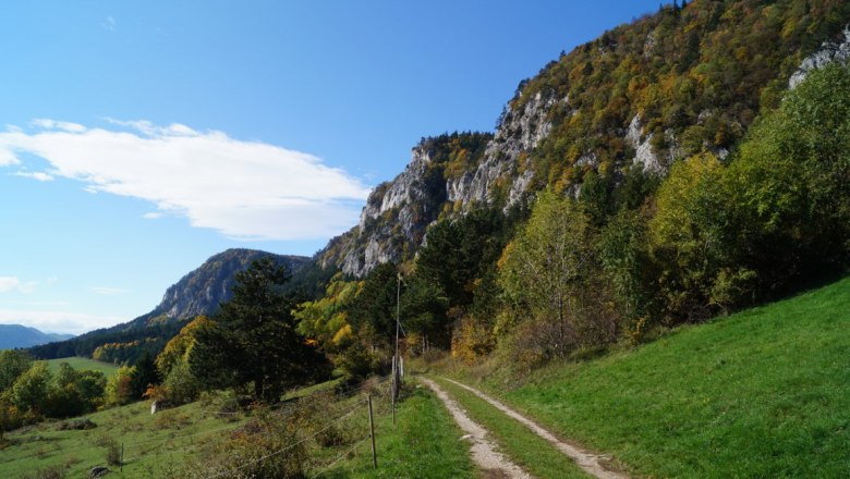 Am Fuss der Hohen Wand, © Reep Ein Wanderweg führt entlang einer grünen Wiese am Fuß eines bewaldeten Berges unter blauem Himmel.