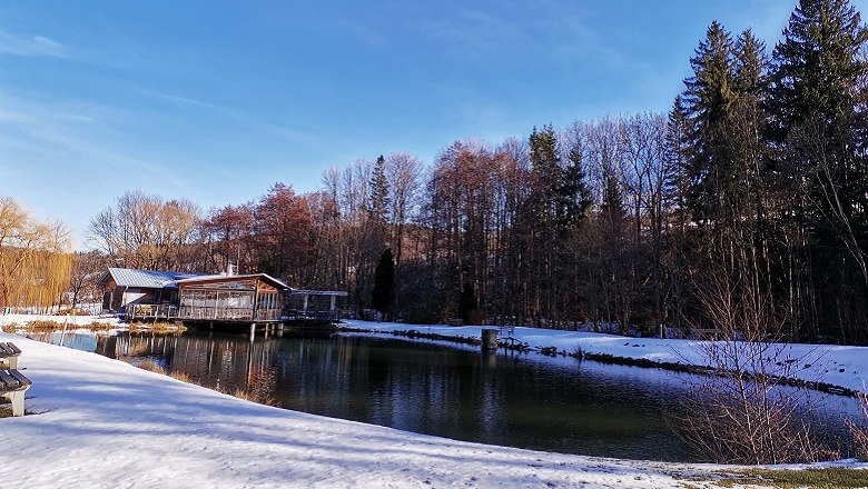 Naturteich mit Trinkwasserqualität, © Wiener Alpen, intern Ein Naturteich mit klarem Wasser, umgeben von schneebedecktem Boden und Bäumen im Hintergrund.
