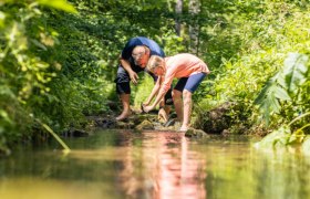 Johannesbachklamm_(c)_Fülöp, © (c)Fülöp Zwei Personen beugen sich über einen Bach in einem grünen Wald.