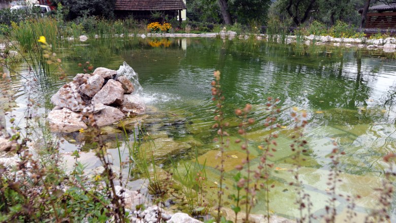 The natural pond, © Johannes Geier A natural pond with clear water, surrounded by plants and stones. Trees and a building can be seen in the background.