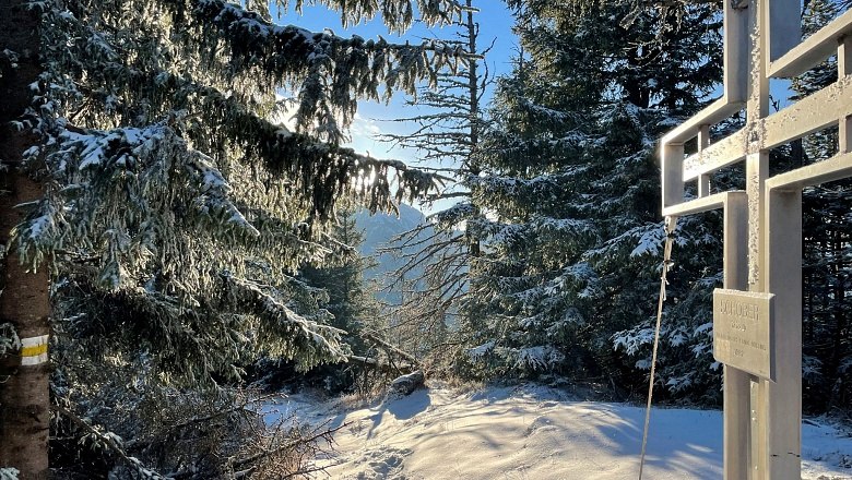 Schoberkreuz, © Wiener Alpen/Lechner Schoberkreuz, © Wiener Alpen/Lechner