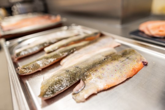 Regionale Produkte neu interpretiert , © Wiener Alpen/Martin Fülöp Regionale Produkte neu interpretiert , © Wiener Alpen/Martin Fülöp