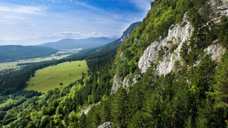 Genusswanderung auf der Hohen Wand, © Wiener Alpen / POV Robert Herbst Genusswanderung auf der Hohen Wand, © Wiener Alpen / POV Robert Herbst