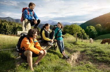 On the way through the Gutensteiner Alps, © Wiener Alpen/ Florian Lierzer On the way through the Gutensteiner Alps, © Wiener Alpen/ Florian Lierzer