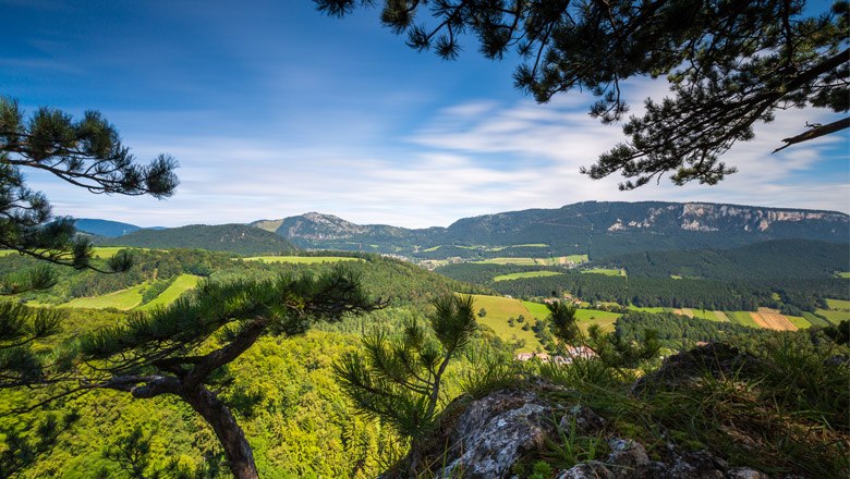 Panoramablick auf eine gr&uuml;ne Landschaft mit H&uuml;geln und B&auml;umen, eingerahmt von &Auml;sten im Vordergrund.